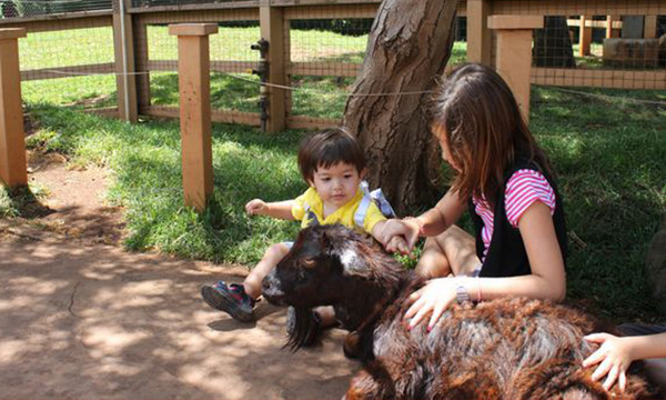 ホノルル動物園 写真