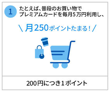 たとえば、普段のお買い物でプレミアムカードを毎月5万円利用し、月250ポイントたまる！