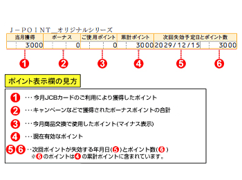 ポイント表示欄イメージ