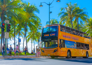Hawaii Waikiki Trolley for Free
